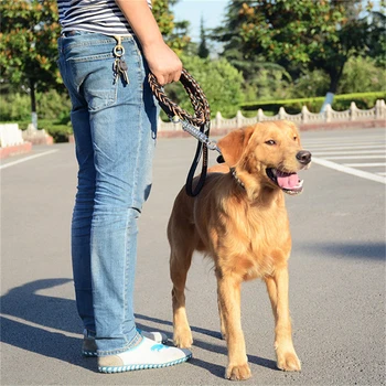 100PCS Leather Large pet Dog Leash Fashion Big Dog Leads Suit Chain Adjustable Traction Rope Collar
100PCS Leather Large pet Dog Leash Fashion Big Dog Leads Suit Chain Adjustable Traction Rope Collar