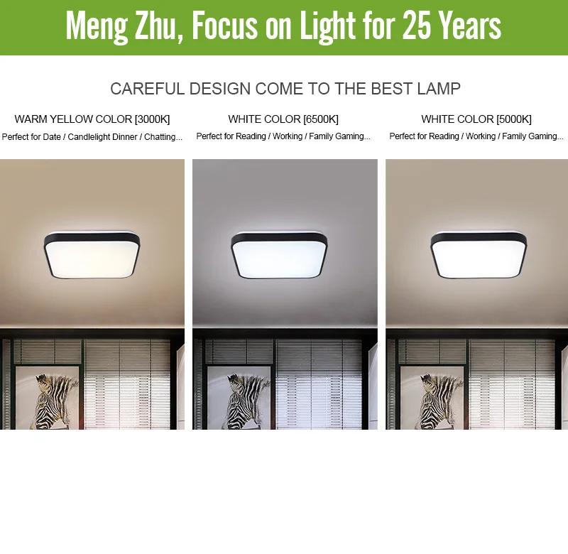 ceiling lighting (3)