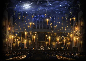 Hogwarts Candles Church Lunch Hall background polyester or Vinyl cloth High quality Computer print wall backdrops
Hogwarts Candles Church Lunch Hall background polyester or Vinyl cloth High quality Computer print wall backdrops
