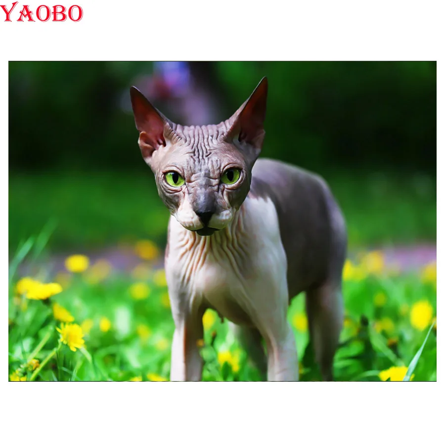 Diamond Embroidery 5D DIY Full Drill square Diamond Painting mosaic Sphynx Cat cute pet Animal Pattern Cross Stitch wall decor
Diamond Embroidery 5D DIY Full Drill square Diamond Painting mosaic Sphynx Cat cute pet Animal Pattern Cross Stitch wall decor