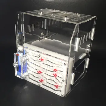 Large Capacity 3D Ant Villa Workshop Ant Nest Acrylic Farm Ants Palace Castle Insect Cages Students Scientific Device Toy FS01H
Large Capacity 3D Ant Villa Workshop Ant Nest Acrylic Farm Ants Palace Castle Insect Cages Students Scientific Device Toy FS01H