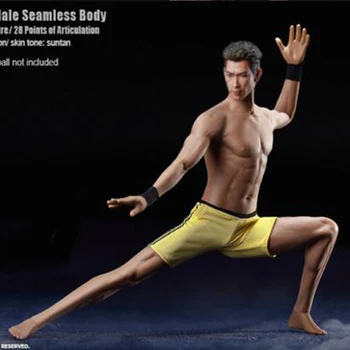 Phicen 1/6 Scale Super-Flexible male Seamless Body Stainless Steel Skeleton Suitable for 12'' Action Figure Model Toy
Phicen 1/6 Scale Super-Flexible male Seamless Body Stainless Steel Skeleton Suitable for 12'' Action Figure Model Toy