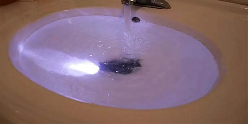 1804139857_1311864796_