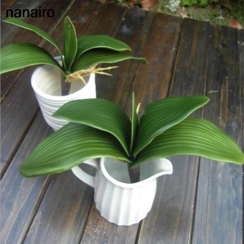 1pcs real touch artificial plant phalaenopsis leaf silk plant decorative flowers for flower decor Wedding home decoration
1pcs real touch artificial plant phalaenopsis leaf silk plant decorative flowers for flower decor Wedding home decoration