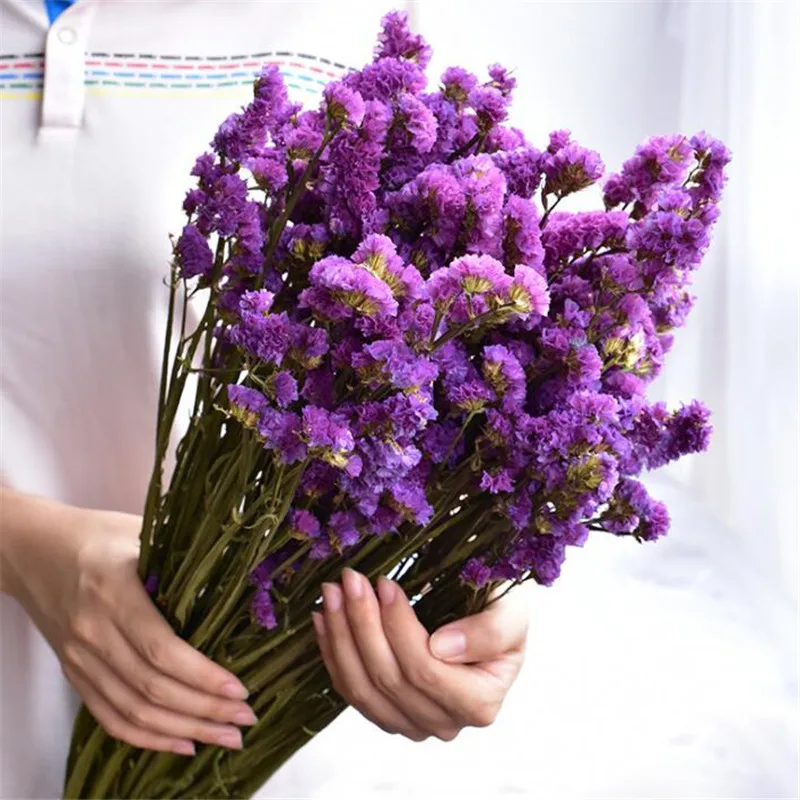 1 Bundle 45-50CM DIY Wedding Party Photo Props Pure natural plant Dried Flowers Cafe Library Home decoration 130~150g
1 Bundle 45-50CM DIY Wedding Party Photo Props Pure natural plant Dried Flowers Cafe Library Home decoration 130~150g