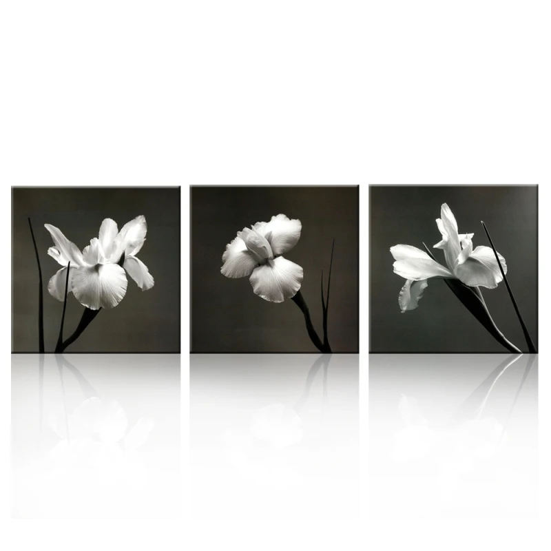 3PCS Black and white flowers Gladiolus Wall Vintage Oil Painting Prints on Canvas Landscape Pictures Home Decor Cuadros
3PCS Black and white flowers Gladiolus Wall Vintage Oil Painting Prints on Canvas Landscape Pictures Home Decor Cuadros