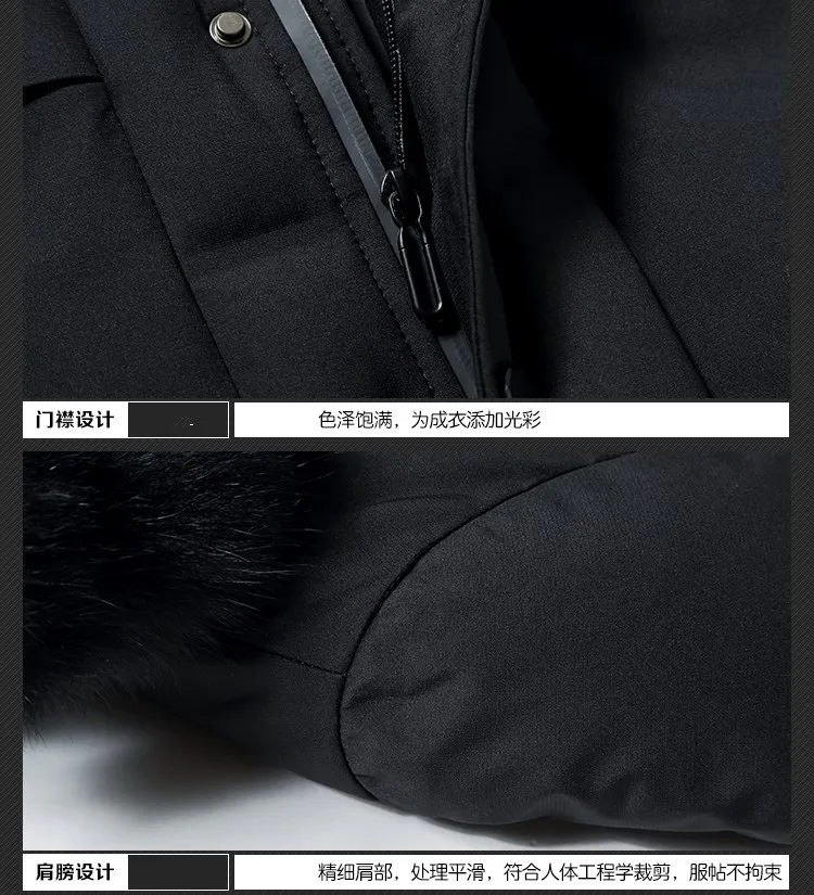 5_conew1