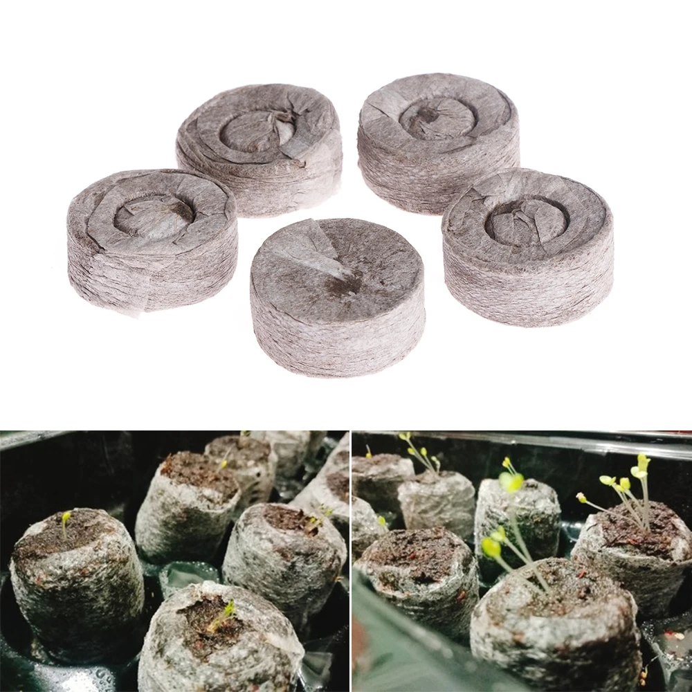1/5/10Pcs Compressed Block Potted plant Seed Nursery Pot Nutritional Soil Peat Pellets Garden Supplies Gardening Tool
1/5/10Pcs Compressed Block Potted plant Seed Nursery Pot Nutritional Soil Peat Pellets Garden Supplies Gardening Tool