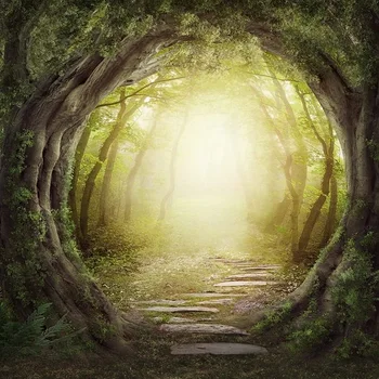 Fairy Tale Vinyl Photography Background Vintage Castle Cinderella Children Backdrops for Photo Studio
Fairy Tale Vinyl Photography Background Vintage Castle Cinderella Children Backdrops for Photo Studio