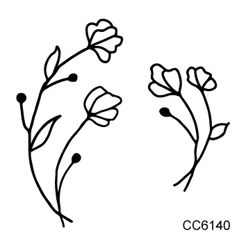 cc 60 (14)