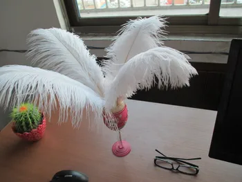 10 pcs 12-14 inch / 30-35cm white Beautiful Ostrich Plume DIY Carft Wedding Party Centerpieces Natural Ostrich Feather
10 pcs 12-14 inch / 30-35cm white Beautiful Ostrich Plume DIY Carft Wedding Party Centerpieces Natural Ostrich Feather