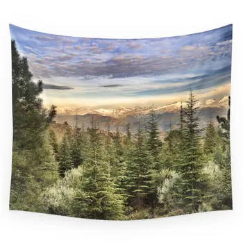 Wildderness Adventure At The Mountains Wall Tapestry Wall Hanging Tapestry for Home Psychedelic Bedspread Art Carpet
Wildderness Adventure At The Mountains Wall Tapestry Wall Hanging Tapestry for Home Psychedelic Bedspread Art Carpet