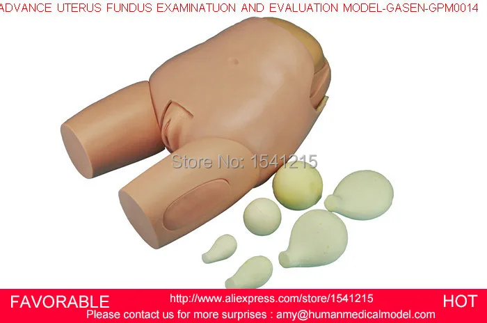 REPRODUCTIVE ANATOMICAL MEDICAL MANIKINS NURSING TRAINING MANIKIN UTERUS FUNDUS EXAMINATUON AND EVALUATION MODEL-GASEN-GPM0014
REPRODUCTIVE ANATOMICAL MEDICAL MANIKINS NURSING TRAINING MANIKIN UTERUS FUNDUS EXAMINATUON AND EVALUATION MODEL-GASEN-GPM0014