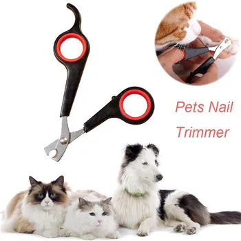 DHL Freeshipping 400pcs Stainless Steel Pet Dog Nail Scissors Grooming Trimmer For Dog Cat Clipper
DHL Freeshipping 400pcs Stainless Steel Pet Dog Nail Scissors Grooming Trimmer For Dog Cat Clipper