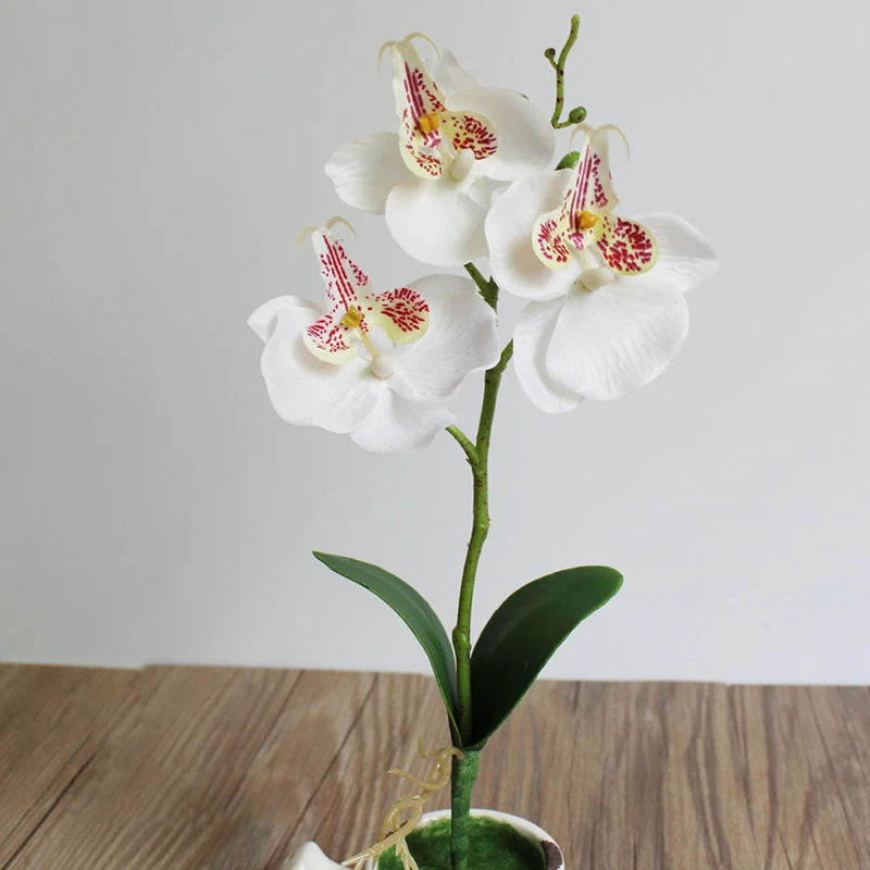 Artificial Orchid Flowers Real Touch Artificial Butterfly Orchid Flores Artificiales Wedding Decoration Home Festival Decoration
Artificial Orchid Flowers Real Touch Artificial Butterfly Orchid Flores Artificiales Wedding Decoration Home Festival Decoration