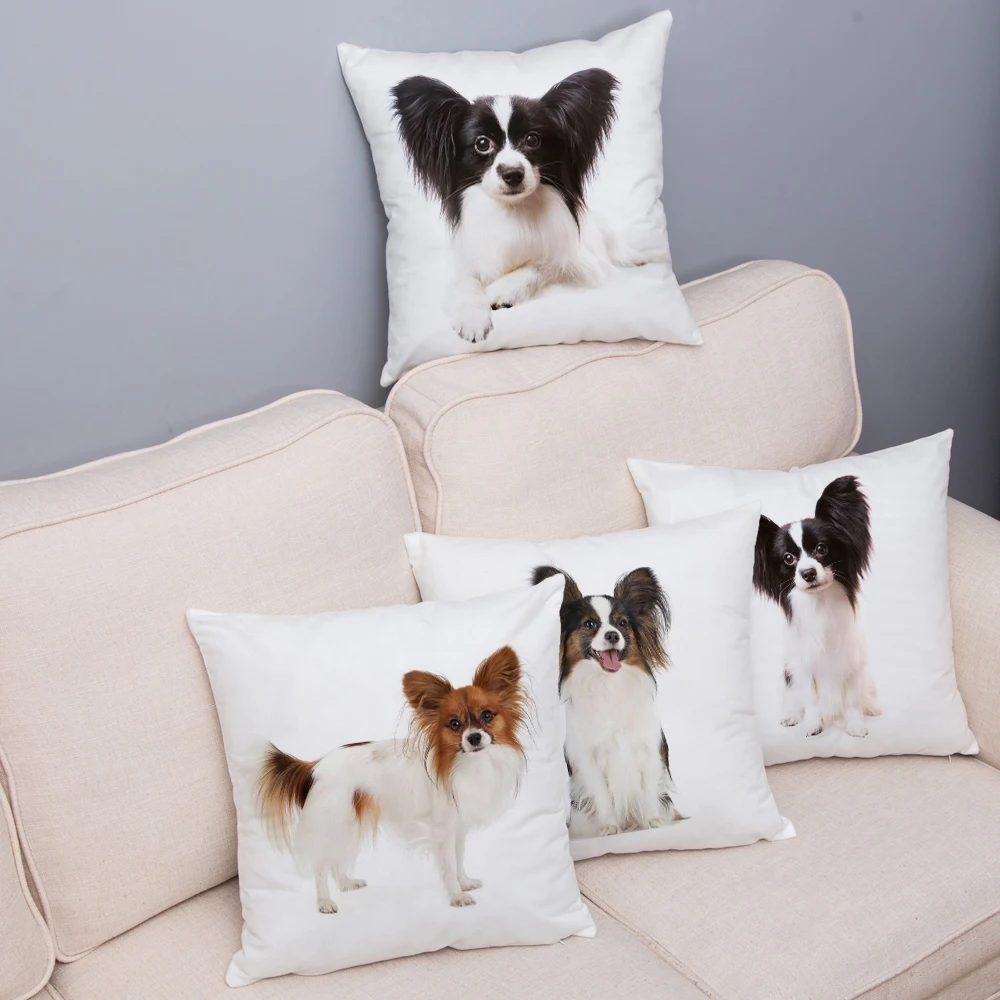 Cute Spain Papillon Dog Print Cushion Cover Super Soft Plush Pillow Covers 45*45 Throw Pillow Case Sofa Home Decor Pillowcase
Cute Spain Papillon Dog Print Cushion Cover Super Soft Plush Pillow Covers 45*45 Throw Pillow Case Sofa Home Decor Pillowcase