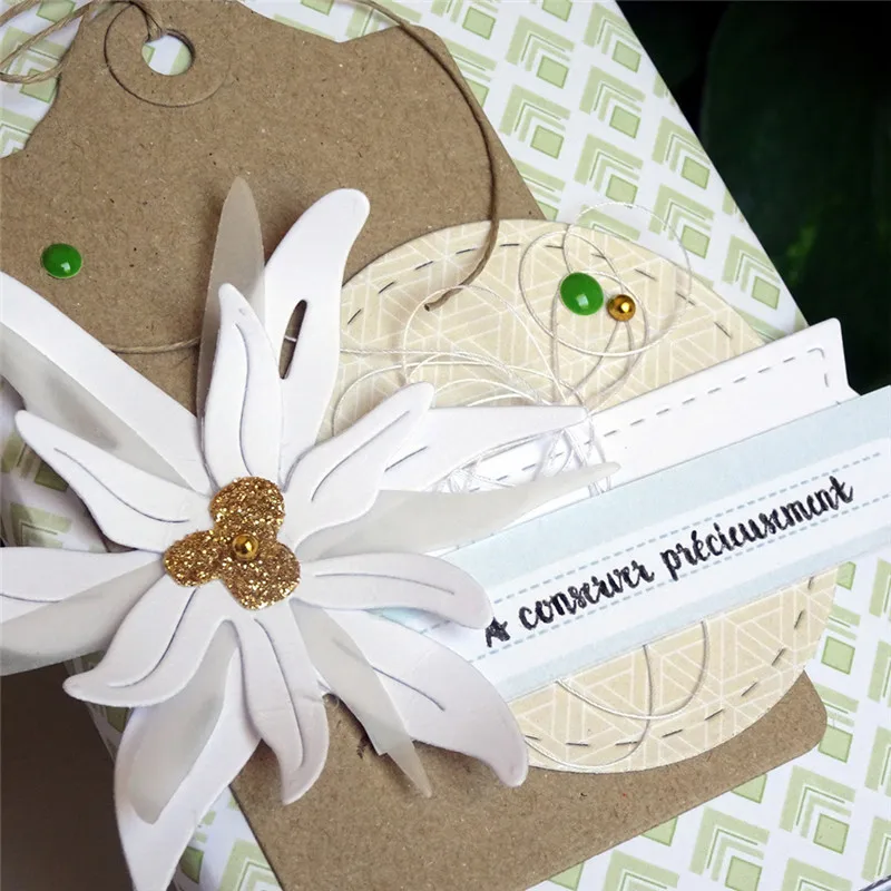 Naifumodo Edelweiss Metal Cutting Dies New 2019 Flower Dies Scrapbooking for Card Making Album Embossing Craft Dies Cut
Naifumodo Edelweiss Metal Cutting Dies New 2019 Flower Dies Scrapbooking for Card Making Album Embossing Craft Dies Cut