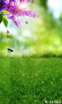 Photography Backdrops Scenery Background Green Screen Vinyl Photo Backgrounds Children 150x220cm
Photography Backdrops Scenery Background Green Screen Vinyl Photo Backgrounds Children 150x220cm