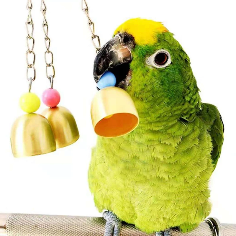 Cockatiel Parrot Toys Steel Hanging Bell Cage Toys for Parrots Bird Squirrel Funny Chain Swing Toy Pet Bird Supplies
Cockatiel Parrot Toys Steel Hanging Bell Cage Toys for Parrots Bird Squirrel Funny Chain Swing Toy Pet Bird Supplies