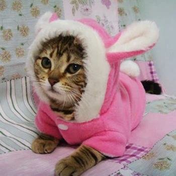 Cat Clothes Mascotas Costume Clothes For Pet Hoodies Cute Rabbit Cat Kitten Clothing Puppy Fleece Warm Pet Cat Jacket Outfit
Cat Clothes Mascotas Costume Clothes For Pet Hoodies Cute Rabbit Cat Kitten Clothing Puppy Fleece Warm Pet Cat Jacket Outfit