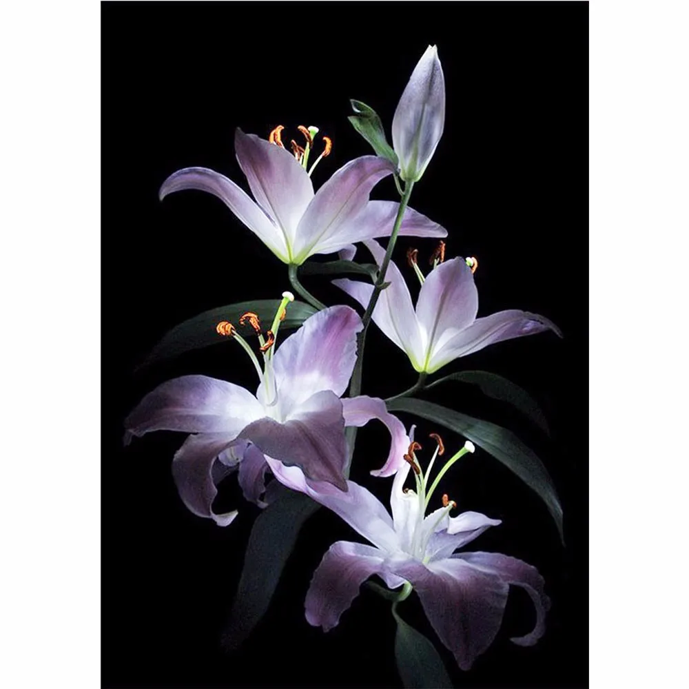 diy-diamond-painting-cross-stitch-kits-embroidery-flowers-lily-Set-diamond-embroidery-pattern-flowers-Set-for