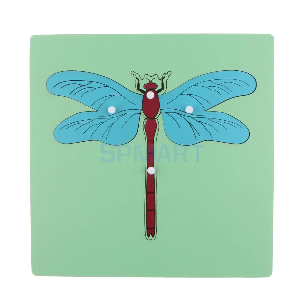 Montessori Wooden Nature Materials Dragonfly Animal Puzzle for Baby Toddler Early Preschool Educational Learning Toy
Montessori Wooden Nature Materials Dragonfly Animal Puzzle for Baby Toddler Early Preschool Educational Learning Toy