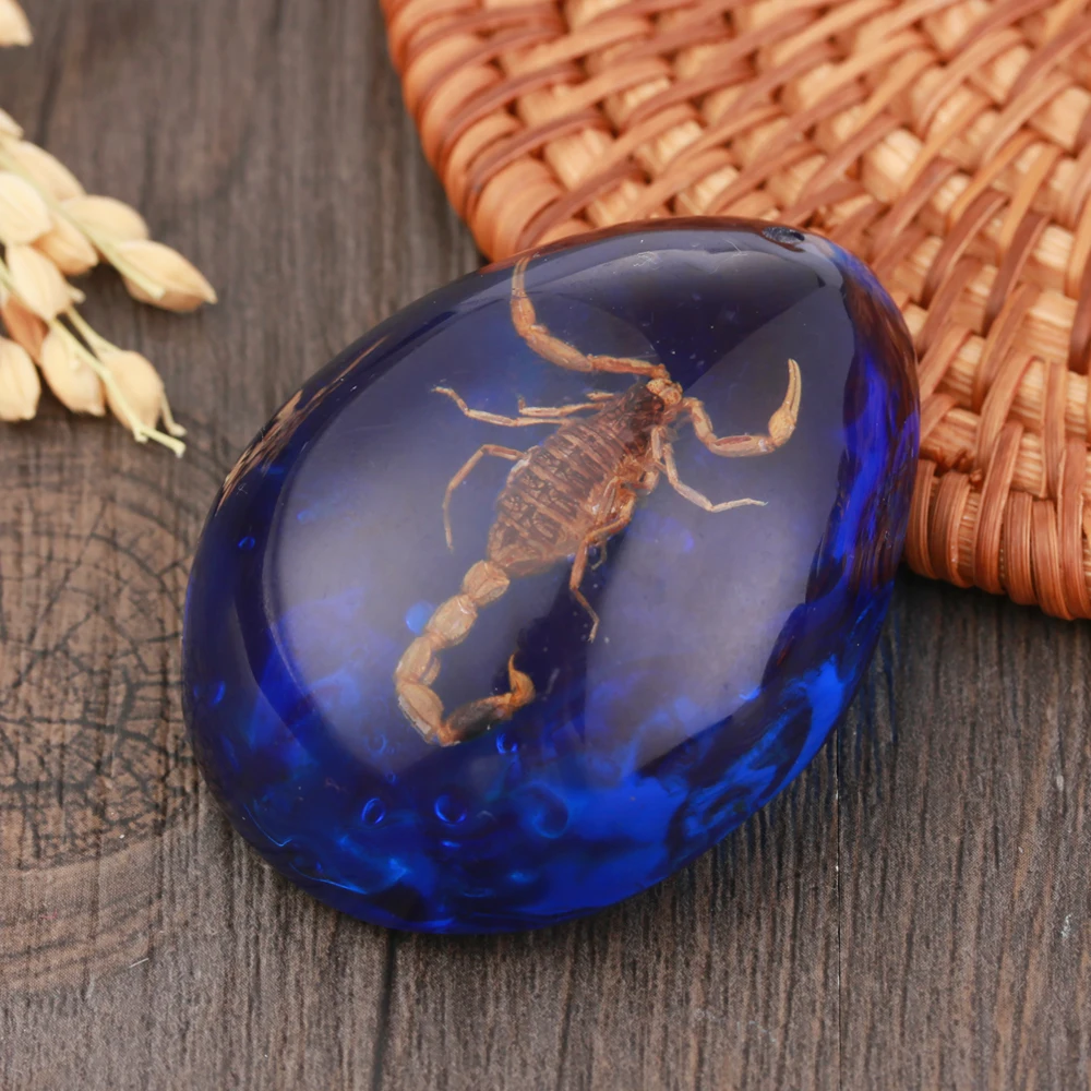 1 PC Fashion Originality Scorpions butterfly Bee Crab Decorations Natural Insects Amber Stone Ornament DIY Crafts Pendant Gift
1 PC Fashion Originality Scorpions butterfly Bee Crab Decorations Natural Insects Amber Stone Ornament DIY Crafts Pendant Gift