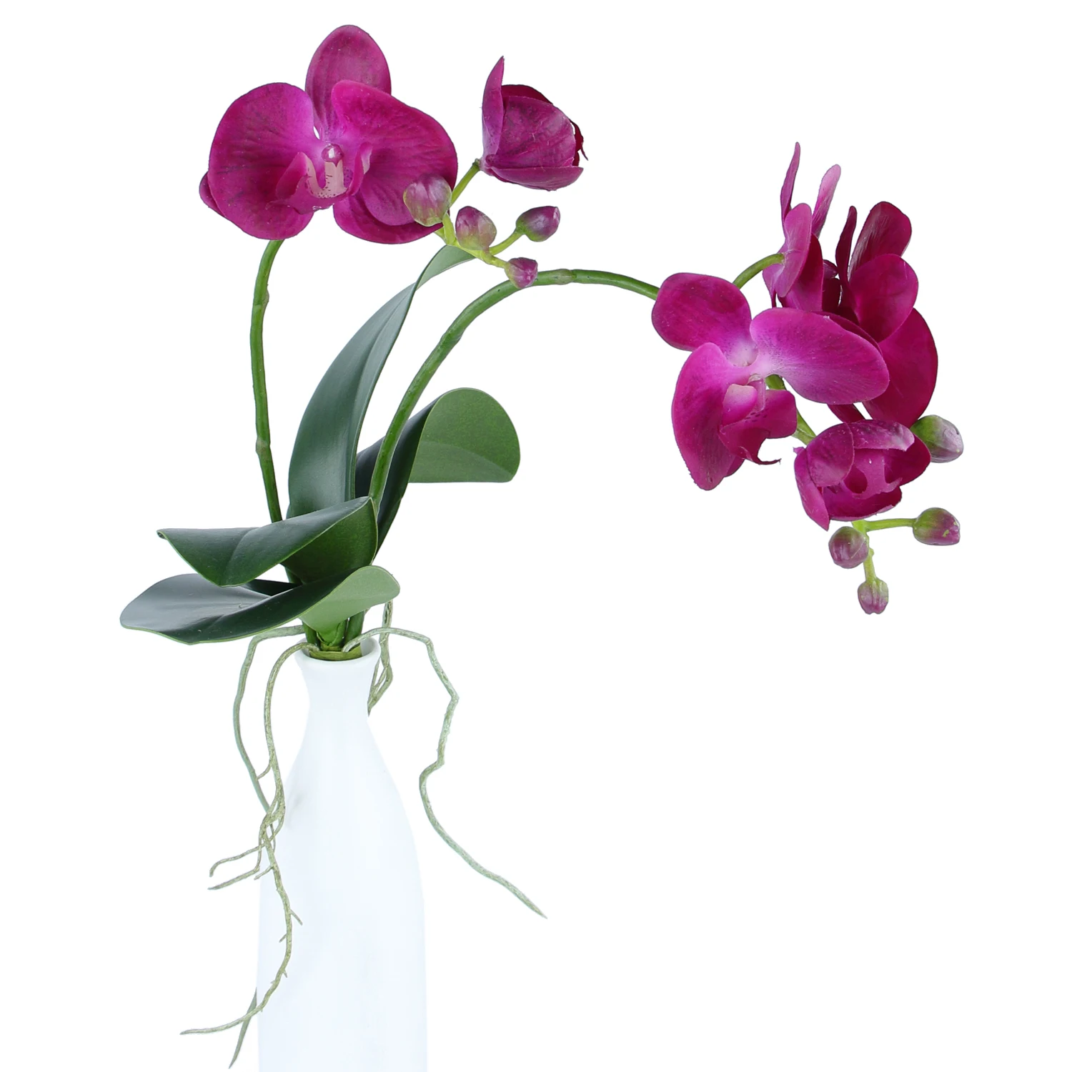 Artificial Moth Orchid Purple Silk Phalaenopsis Flowers Spray with Leaves Buds Root for Bonsai Floral Arrangement Indoor Decor
Artificial Moth Orchid Purple Silk Phalaenopsis Flowers Spray with Leaves Buds Root for Bonsai Floral Arrangement Indoor Decor