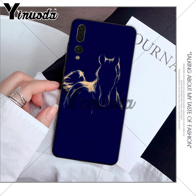 andalusian horse