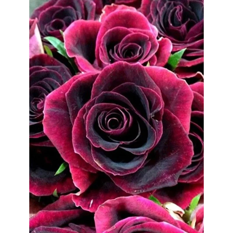 DUTEY 5d Full square/Round Diamond Painting Cross Stitch Red Roses Rhinestone Crystal Needlework Embroidery Decorative | Дом и сад