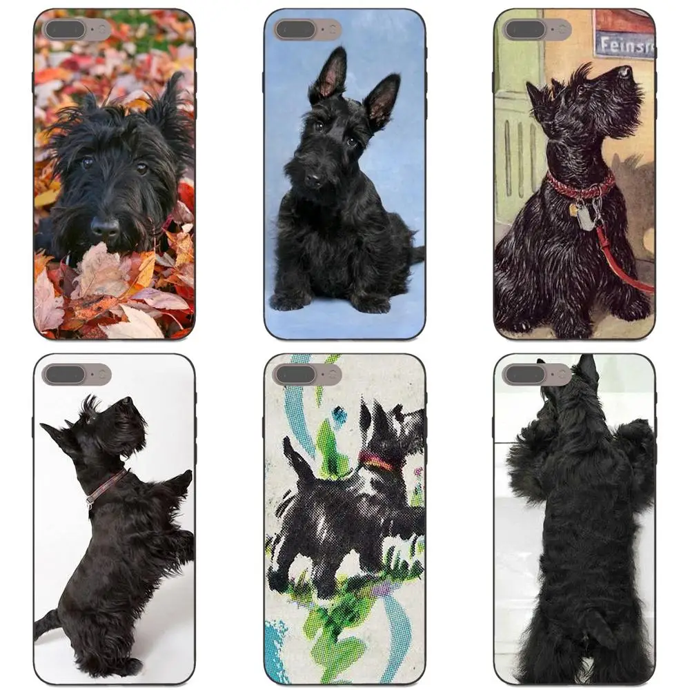 Soft Covers Case Cute Black Scottish Terrier Dog Puppy For Apple iPhone 4 4S 5 5S SE 6 6S 7 8 Plus X XS Max XR
Soft Covers Case Cute Black Scottish Terrier Dog Puppy For Apple iPhone 4 4S 5 5S SE 6 6S 7 8 Plus X XS Max XR