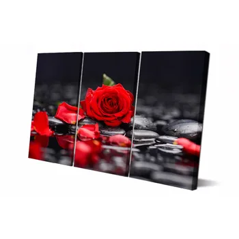 3 Panel flowers Canvas Wall Art Picture Home Decoration Living Room Canvas Print Modern flower painting modern paintng LS001
3 Panel flowers Canvas Wall Art Picture Home Decoration Living Room Canvas Print Modern flower painting modern paintng LS001