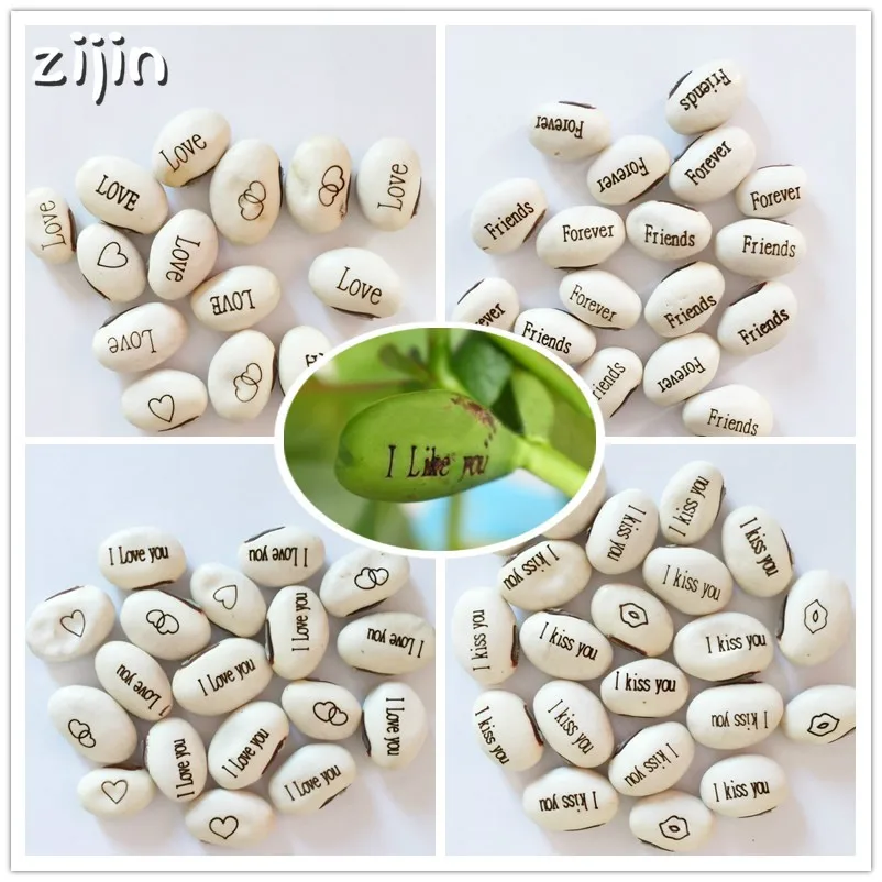 5PCS Magic Growing Message Beans Bonsais Magic Bean English Magic Bean Potted Green Office Home Decor for Flower Pot Planter
5PCS Magic Growing Message Beans Bonsais Magic Bean English Magic Bean Potted Green Office Home Decor for Flower Pot Planter