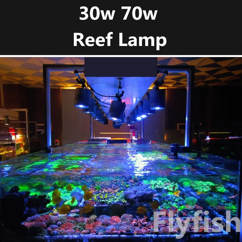 Reef aquarium seawater Coral led Light 30W 70W Sea water Sunrise Sunset Full spectrum LED Sea Coral Light Tube Clamp lamp
Reef aquarium seawater Coral led Light 30W 70W Sea water Sunrise Sunset Full spectrum LED Sea Coral Light Tube Clamp lamp