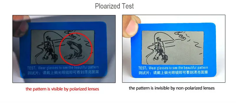 STS805DETAILFg