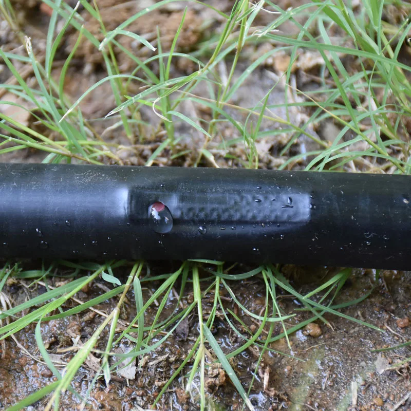 DSC_4839