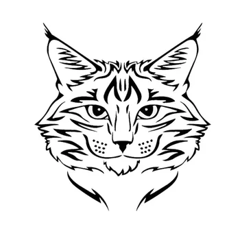 14*15CM Maine Coon Cat Breed Kitten Pet Animal Vinyl Decal Classic Cartoon Window Decoration Car Sticker
14*15CM Maine Coon Cat Breed Kitten Pet Animal Vinyl Decal Classic Cartoon Window Decoration Car Sticker