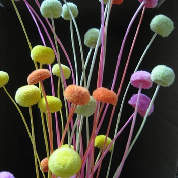 100 Pcs Chrysanthem Natural Dried Flowers Colorful Dried Flowers Decorative Floral For Party Decor Supplies Home Accessories
100 Pcs Chrysanthem Natural Dried Flowers Colorful Dried Flowers Decorative Floral For Party Decor Supplies Home Accessories