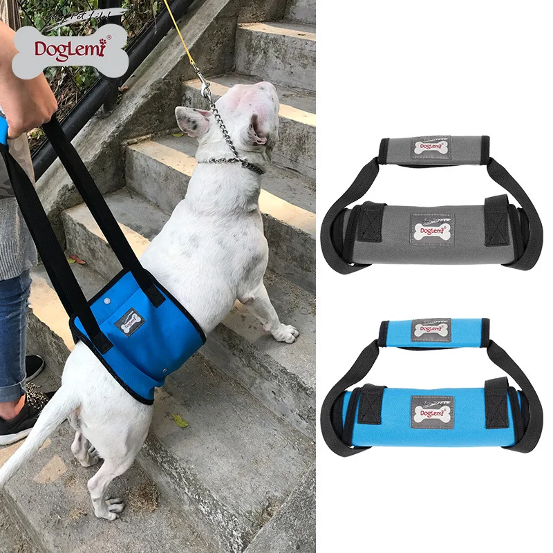 Pet Lift Support Harness Old Dog Helpful Assists Straps With Handle For Injured Hind Legs Dogs S/M/L/XL
Pet Lift Support Harness Old Dog Helpful Assists Straps With Handle For Injured Hind Legs Dogs S/M/L/XL