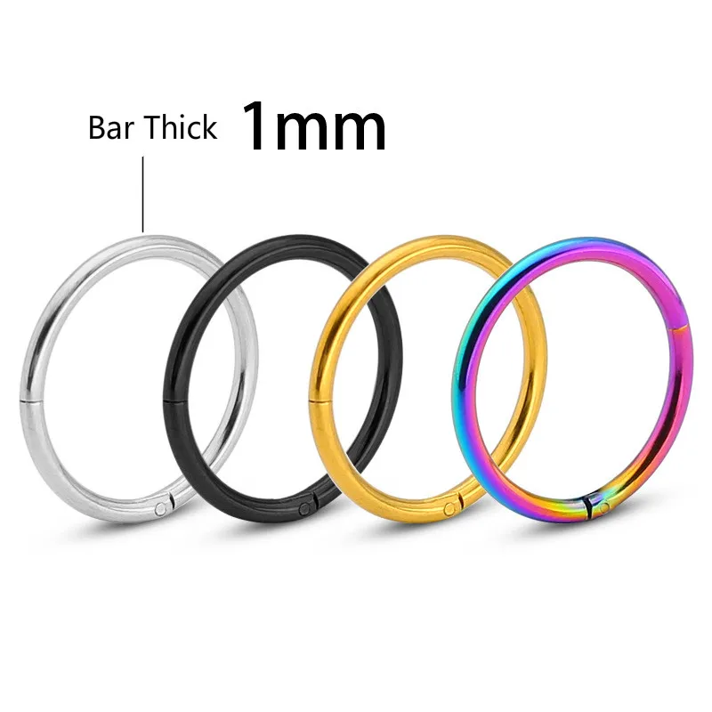 Septum Clicker Nose Ring Hinge Segment Ear Helix Tragus Hoop Round Earrings Steel Stainless Closed Body Piercing Jewelry18g
Septum Clicker Nose Ring Hinge Segment Ear Helix Tragus Hoop Round Earrings Steel Stainless Closed Body Piercing Jewelry18g