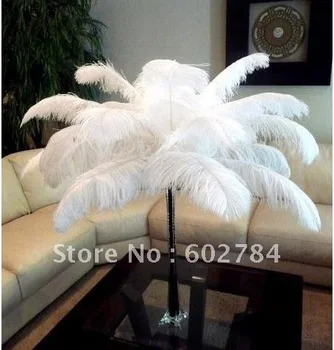 Wholesale 100pcs/lot 14-16 inch 35-40 cm White ostrich feather ostrich plumes ostrich plumage Free Shipping
Wholesale 100pcs/lot 14-16 inch 35-40 cm White ostrich feather ostrich plumes ostrich plumage Free Shipping