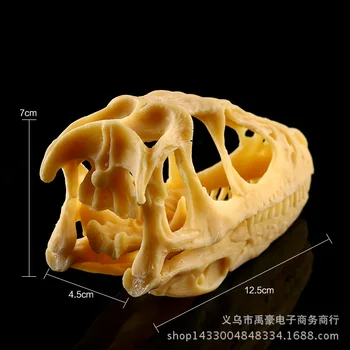 Stolen tap model Bone model dinosaur skull bones Resin skull trade supplies high crafts statue home decoration
Stolen tap model Bone model dinosaur skull bones Resin skull trade supplies high crafts statue home decoration