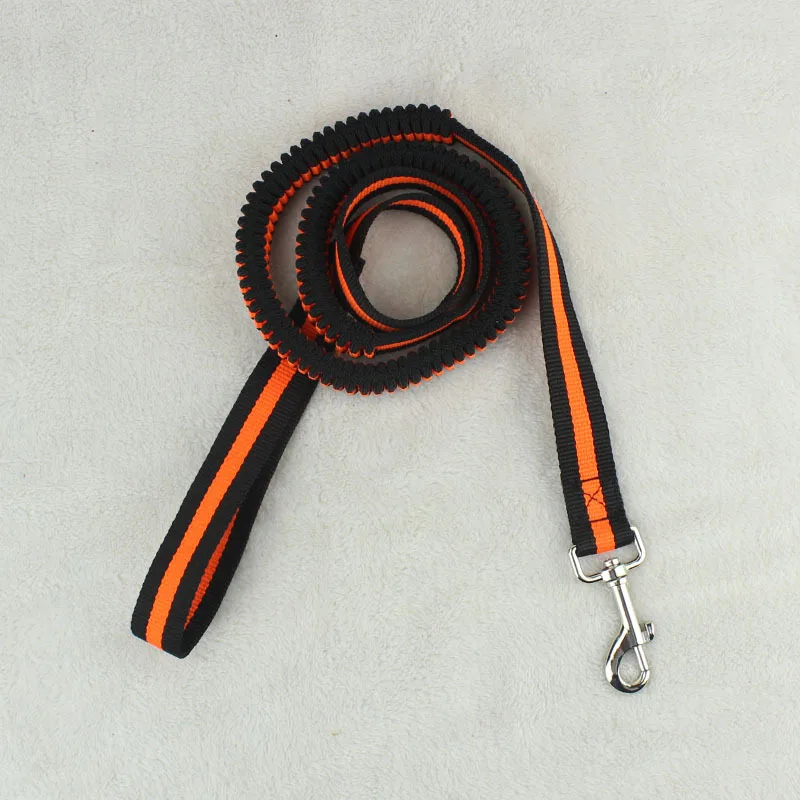 JU Pet Cat Dog Leash Nylon Dog Elastic Leash Plus Puppy Kitten Harness Schnauzer Pitbull Teddy Bull Terrier Rope Pet Supplies
JU Pet Cat Dog Leash Nylon Dog Elastic Leash Plus Puppy Kitten Harness Schnauzer Pitbull Teddy Bull Terrier Rope Pet Supplies