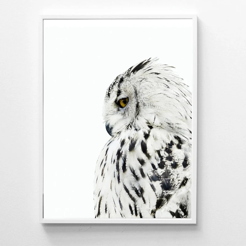 Owl Posters And Prints Wall Art Canvas Painting Wall Pictures For Living Room Nordic Owl Decoration
Owl Posters And Prints Wall Art Canvas Painting Wall Pictures For Living Room Nordic Owl Decoration