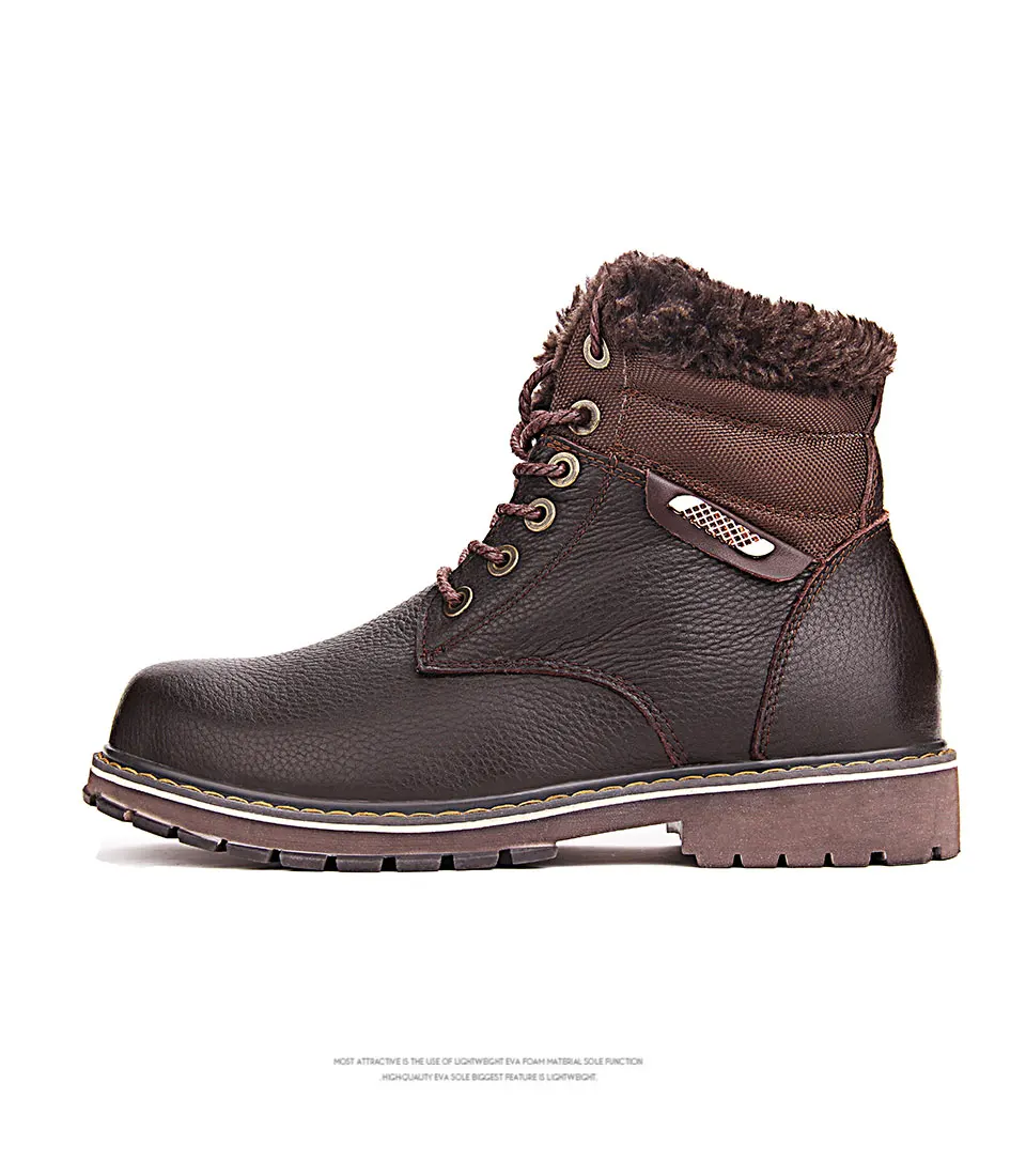 2017101402-2220901 (5)