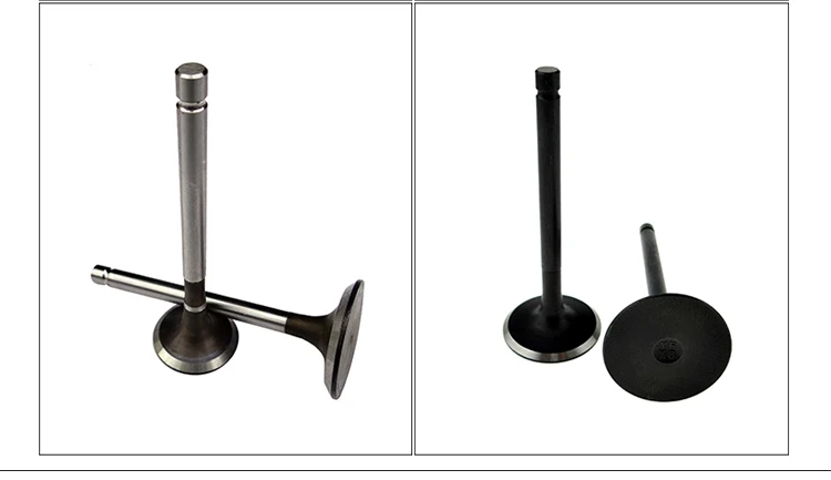 valves 170F 178F 186F 186FA 188F single cylinder air-cooled diesel engine Parts Intake and exhaust valve
valves 170F 178F 186F 186FA 188F single cylinder air-cooled diesel engine Parts Intake and exhaust valve