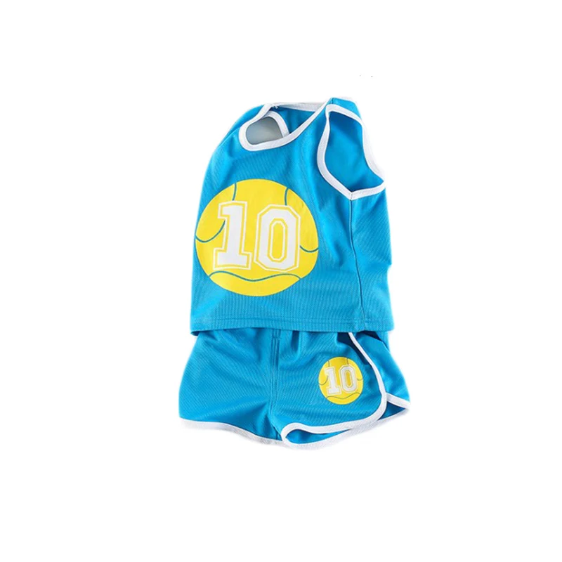 Goexplore Kids Sport Suits Boys quick dry Summer Short T-shirt + Pants Girls Running Football Soccer Train Sport Set Children
Goexplore Kids Sport Suits Boys quick dry Summer Short T-shirt + Pants Girls Running Football Soccer Train Sport Set Children