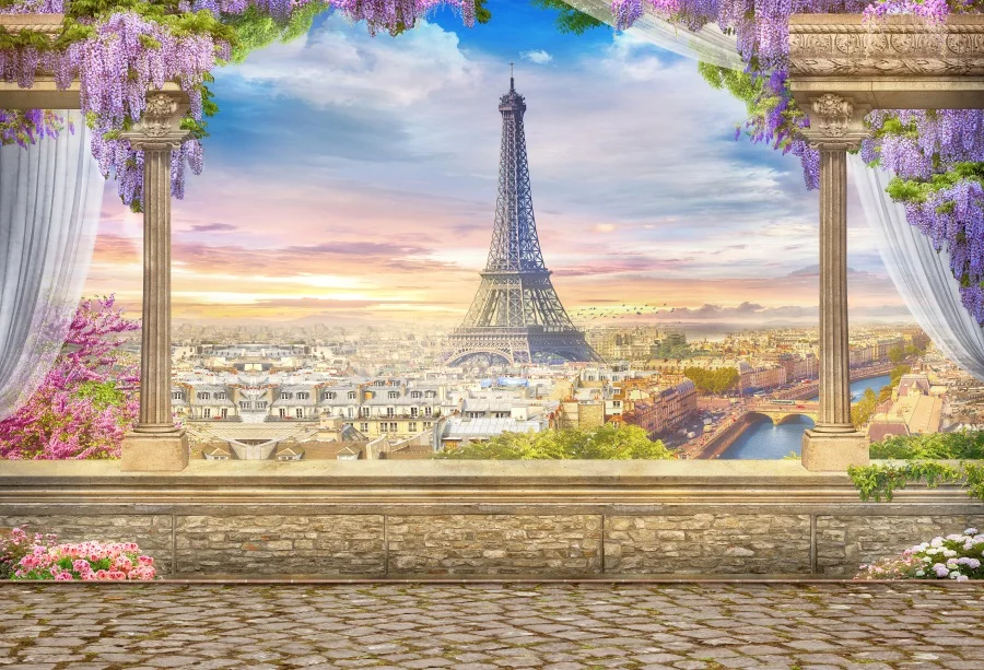 Laeacco Eiffel Tower Paris Palace View Platform Scenery Photography Backgrounds Custom Camera Photographic Backdrops For Photo
Laeacco Eiffel Tower Paris Palace View Platform Scenery Photography Backgrounds Custom Camera Photographic Backdrops For Photo