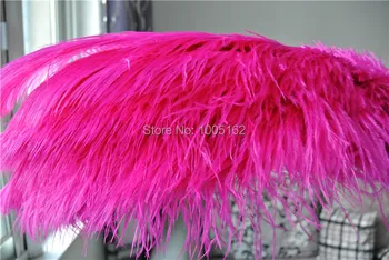 Free Shipping 100pcs 20-22inch Hot Pink Ostrich Feathers plumes fuchsia for Wedding centerpiece party event decor feative deocr
Free Shipping 100pcs 20-22inch Hot Pink Ostrich Feathers plumes fuchsia for Wedding centerpiece party event decor feative deocr