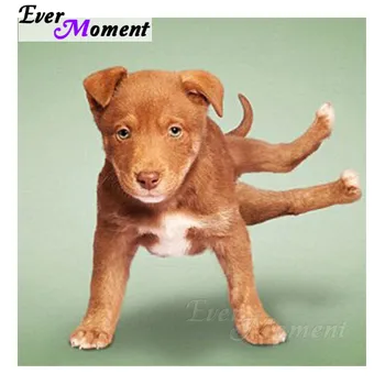 Ever Moment Diamond Painting Dog Yoga Rhinestone Decoration For Home Picture Mosaic Diamond Embroidery Full Square Drill S2F913
Ever Moment Diamond Painting Dog Yoga Rhinestone Decoration For Home Picture Mosaic Diamond Embroidery Full Square Drill S2F913
